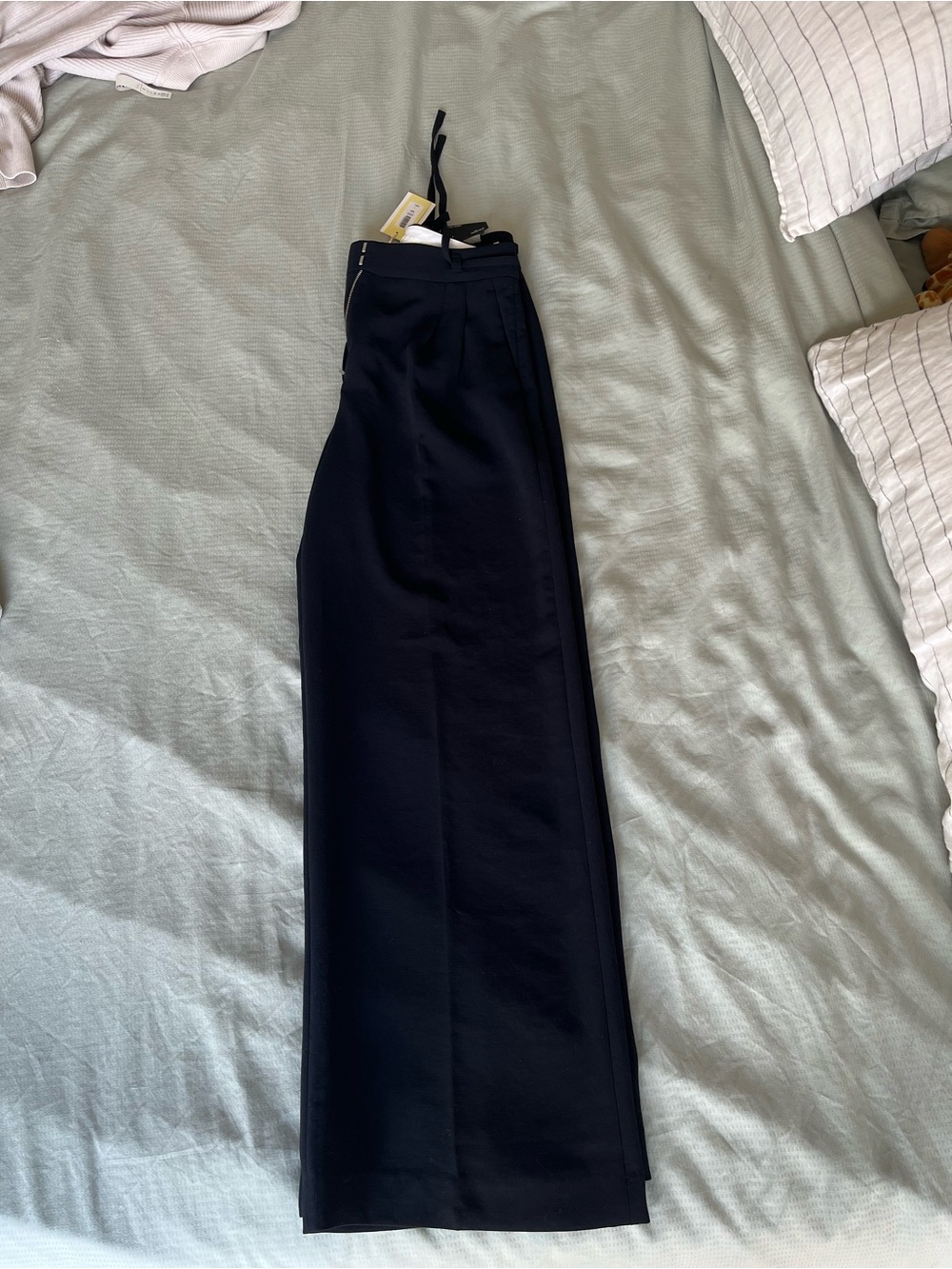 NEW Aritzia Monarch Pants (black)